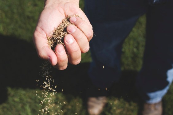 “Korean Startup Agtech Green Labs Lays Off Employees Amid Industry Challenges”